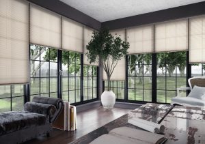 Read more about the article Transforming Your Home with Smart Blinds
